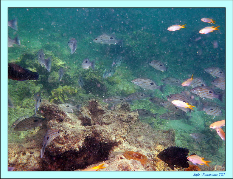 2012 - 03 - Koh Kradan 08